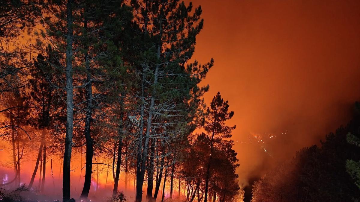 más de 250 hectáreas arrasadas en menos de 24 horas