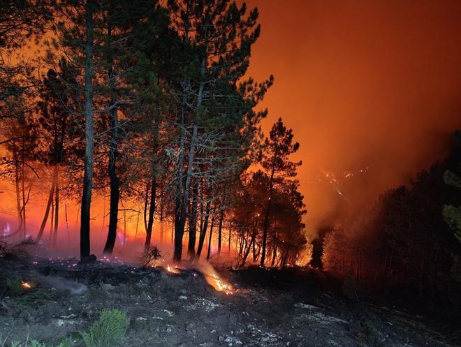 Vuelve a arder Galicia sin control: más de 380 hectáreas arrasadas en menos de 24 horas