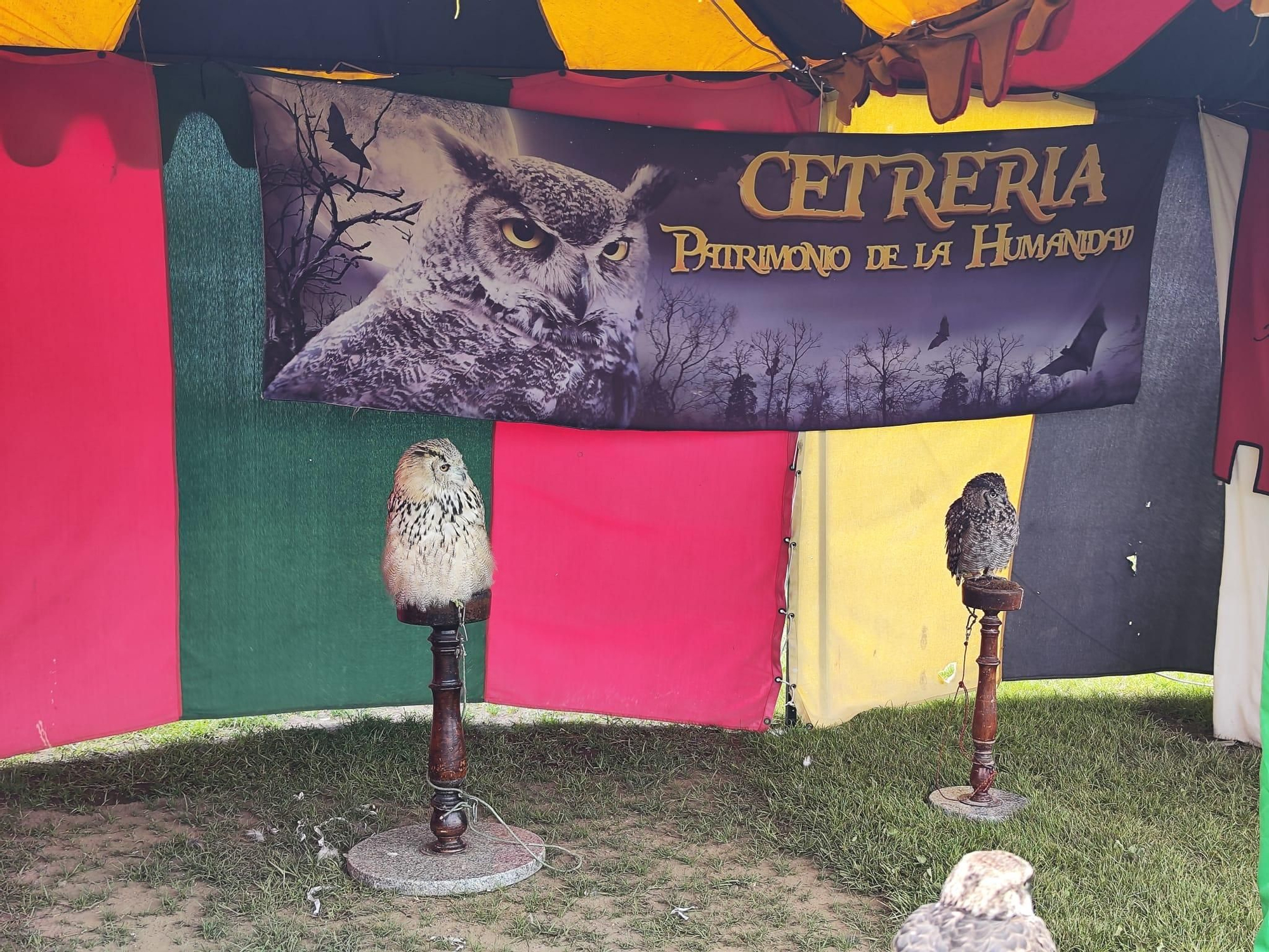 Todo listo para la gran cena y torneo medieval de Llanera