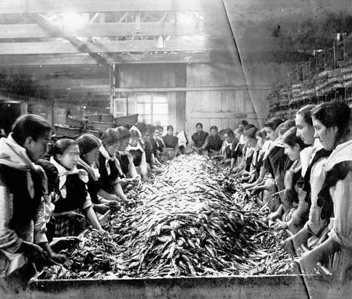Mujeres trabajando con la sardina en la factoría original de Massó en Bueu.