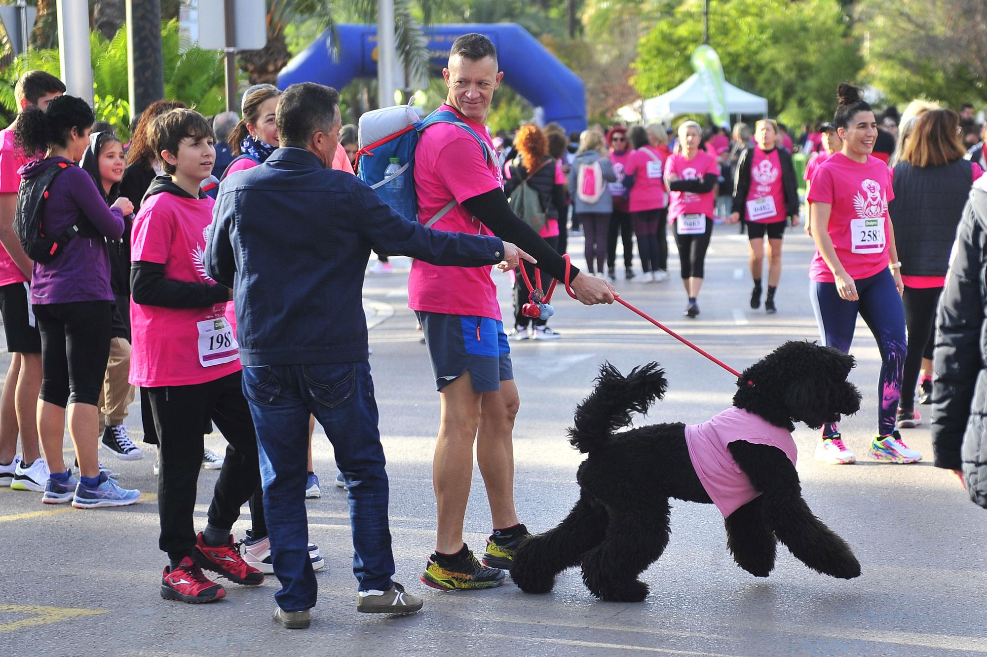 Más de 8.000 solidarios con el cáncer de mama en Elche