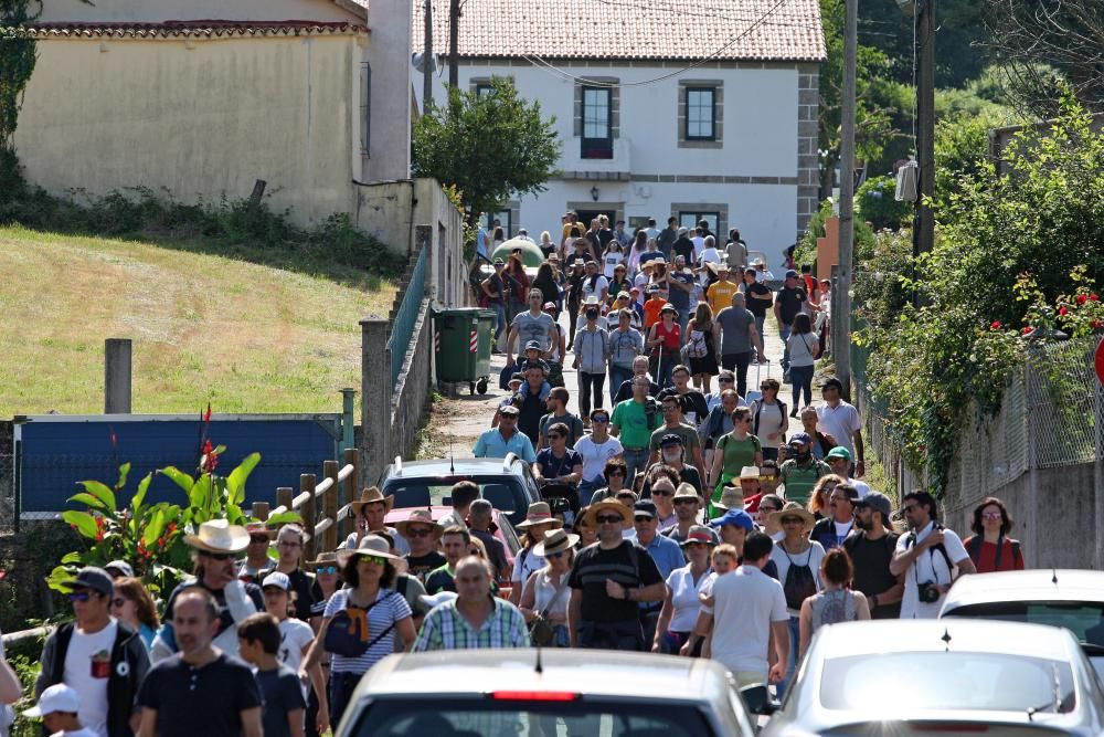 Miles de personas presencian en Sabucedo los curros - La manada llegó al pueblo al mediodía.