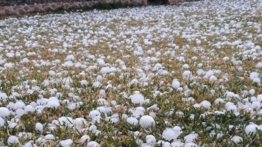 Una tormenta con granizos de gran tamaño causa daños en Pedroche