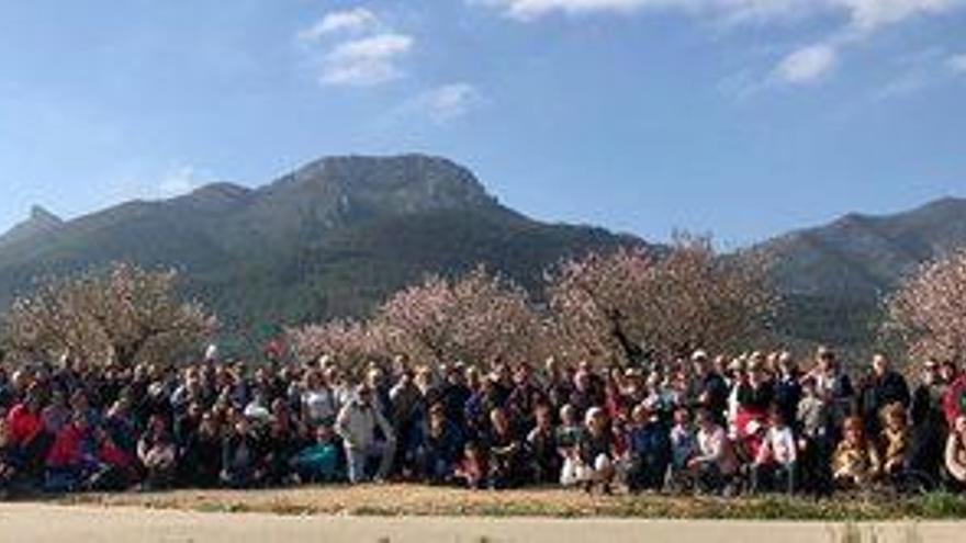 El festival de los almendros en flor de Alcalalí atrae a más de 10.000 visitantes