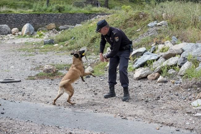 Reportaje a la Unidad Canina de la Policia ...