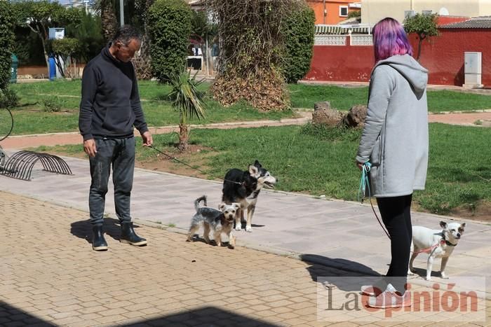 Limpian Los Alcázares tras las fuertes lluvias de los últimos días