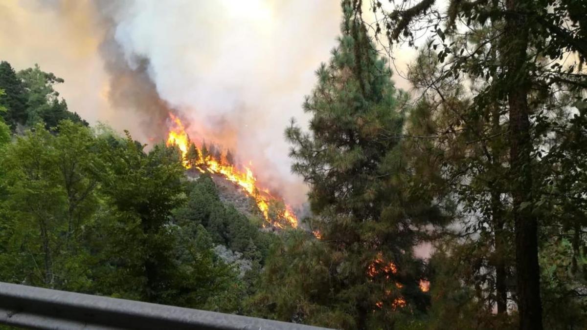 Perspectivas del incendio de Valleseco Perspectivas del incendio de Valleseco