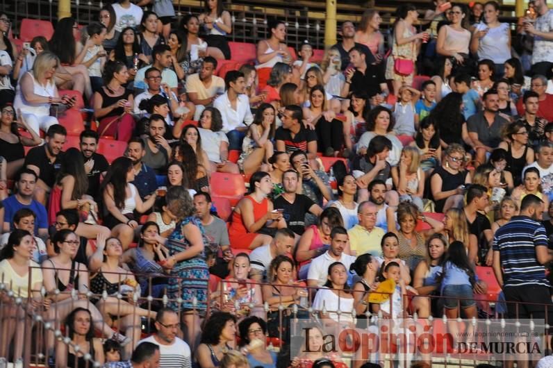 Concierto de Luis Fonsi en Murcia