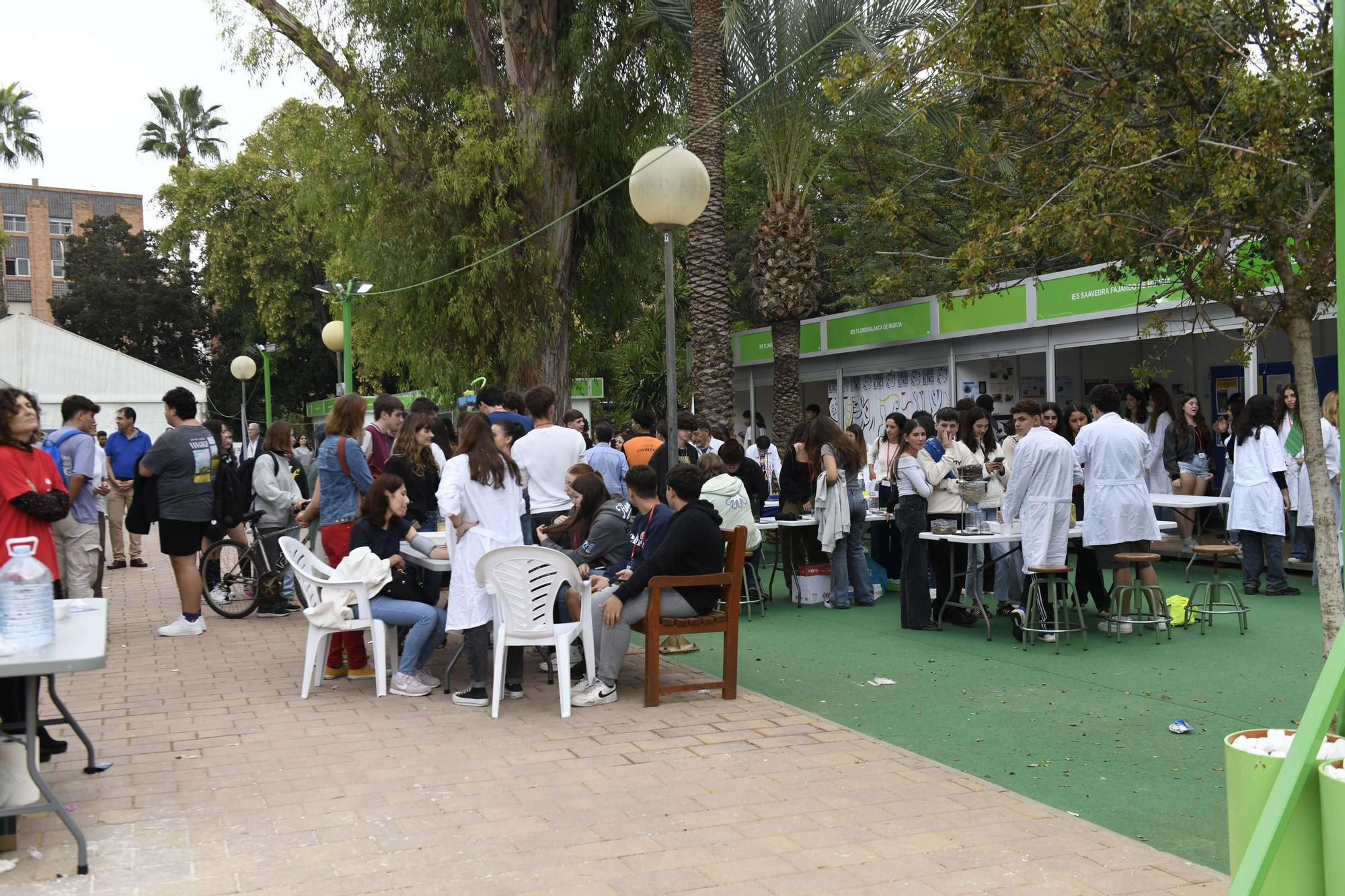 La primera jornada de la Semana de la Ciencia de Murcia, en imágenes