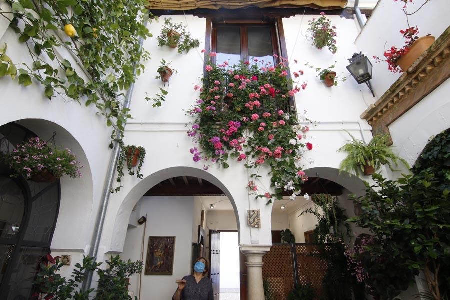 Los Patios de Córdoba (3)