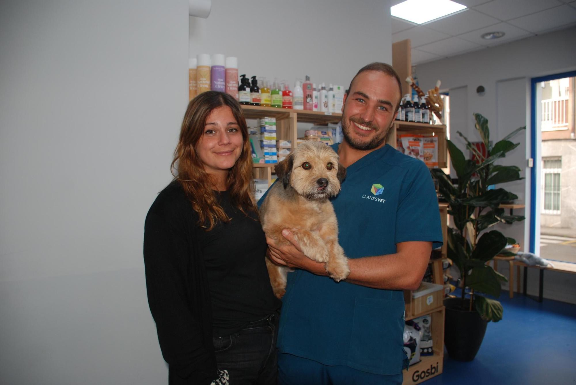 El reencuentro del perro que cayó al mar desde 30 metros con su dueña y el bombero que lo rescató