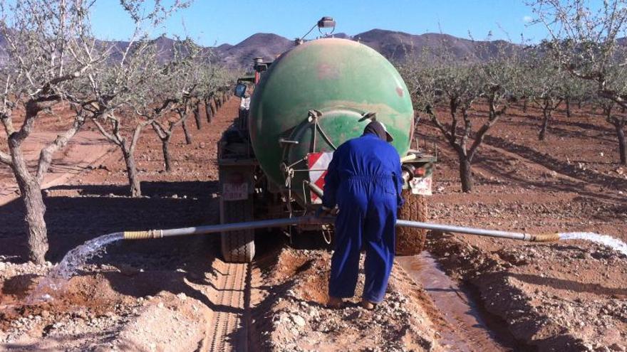 Un agricultor de Las Palas, en Fuente Álamo, recurre a un camión cisterna para regar sus almendros, que se pueden secar.