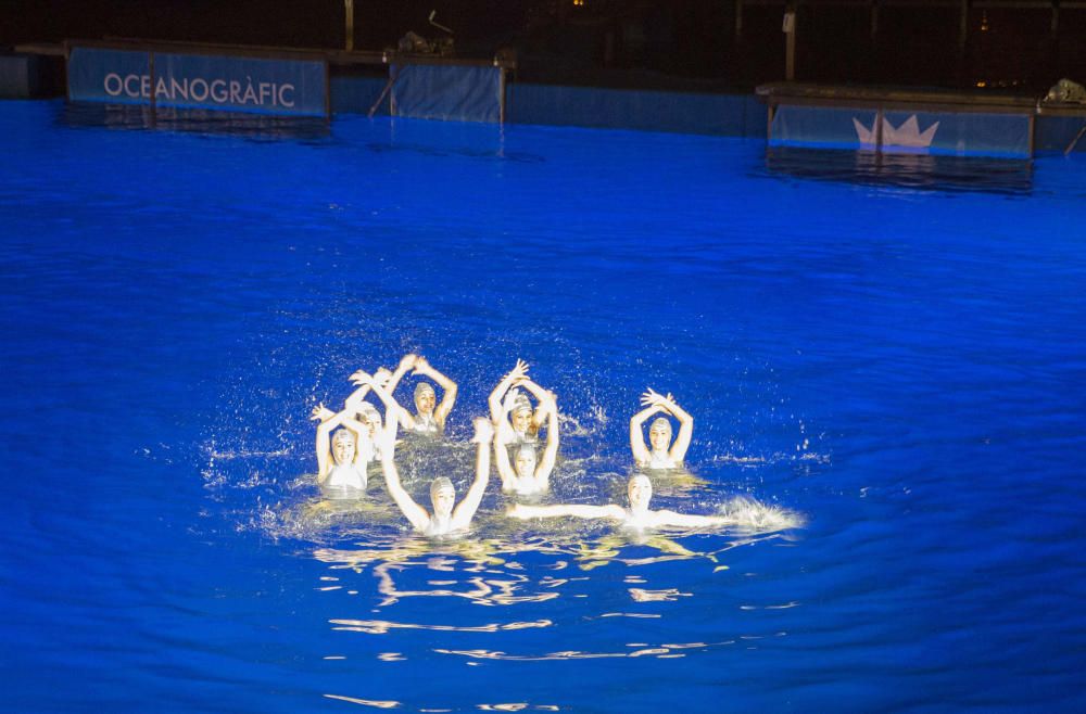 Estreno de las Noches de l'Oceanogràfic