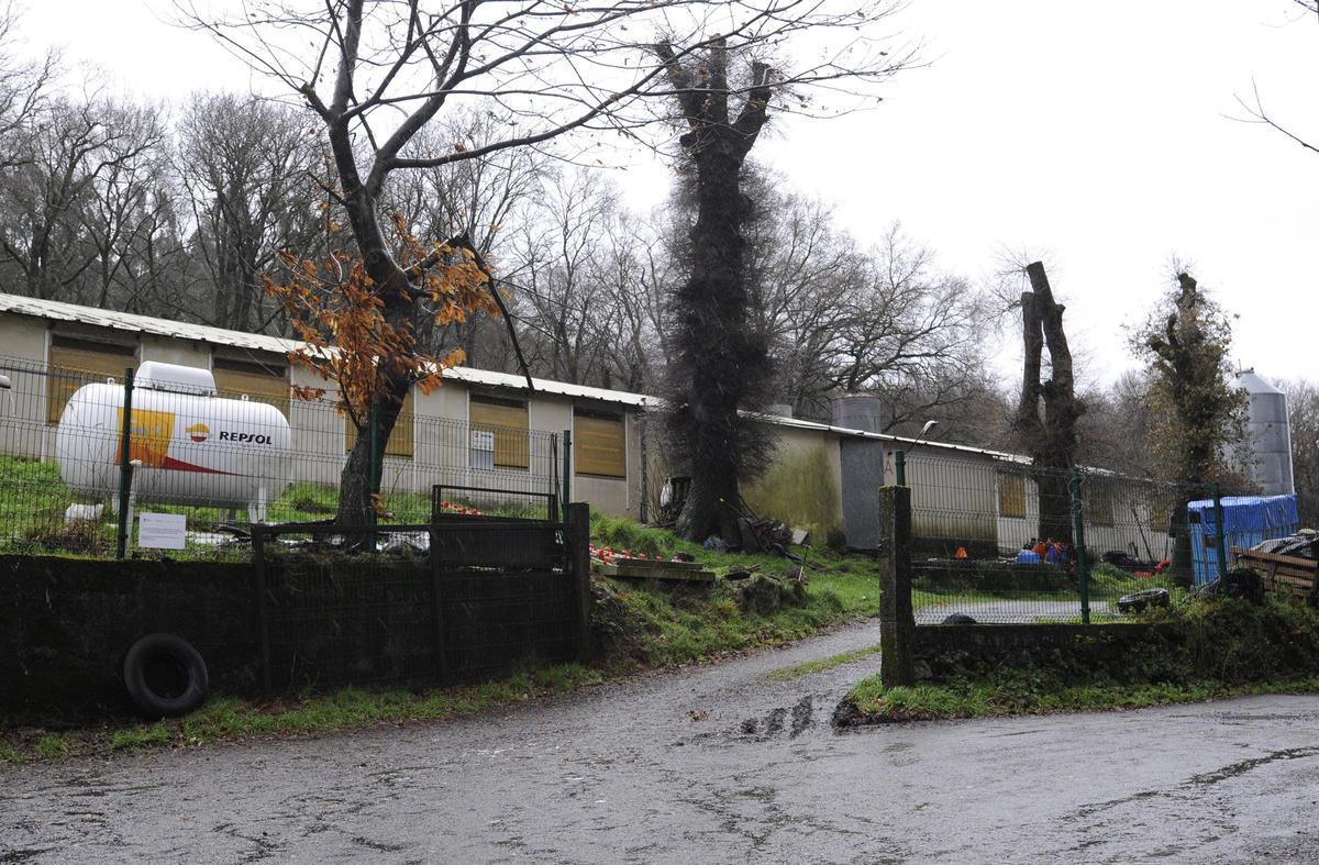 Panorámica exterior de la granja de pollos de Refoxos donde sucedió el accidente laboral mortal.