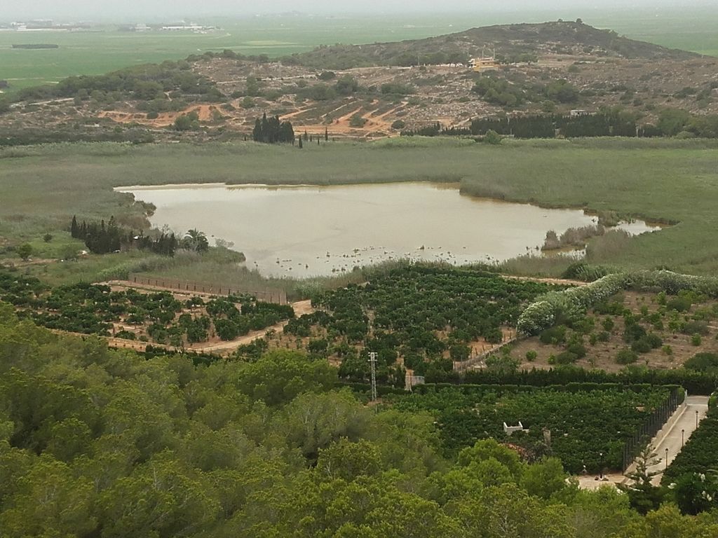 Evolución de la Bassa de Sant Llorenç de Cullera en los últimos años