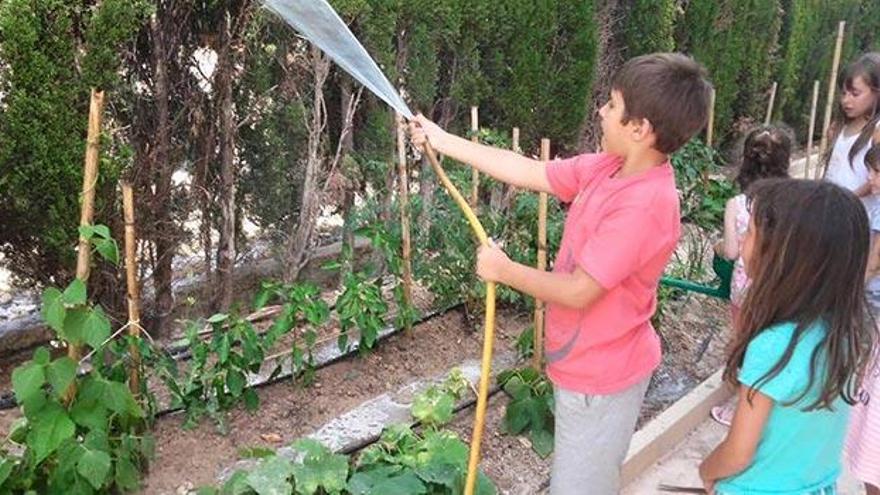 Siente el verano en La Devesa School