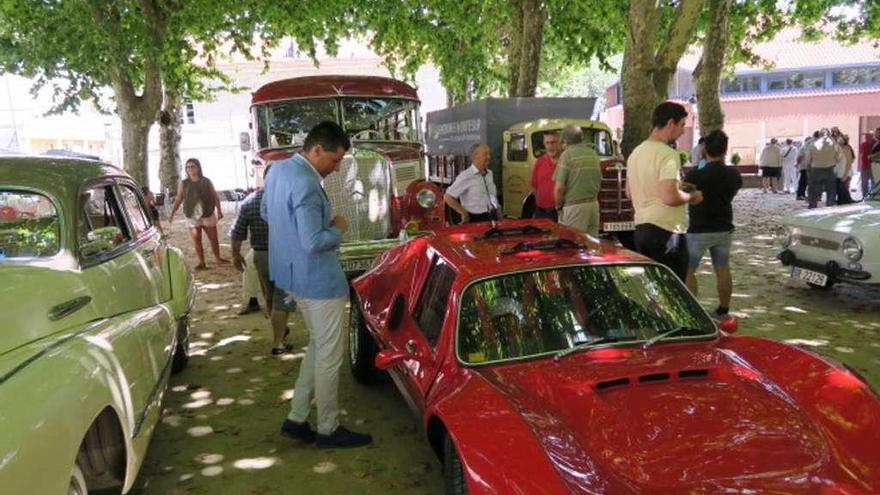 Algunos de los coches clásicos reunidos ayer en la Alameda de Ponte Caldelas. // FdV