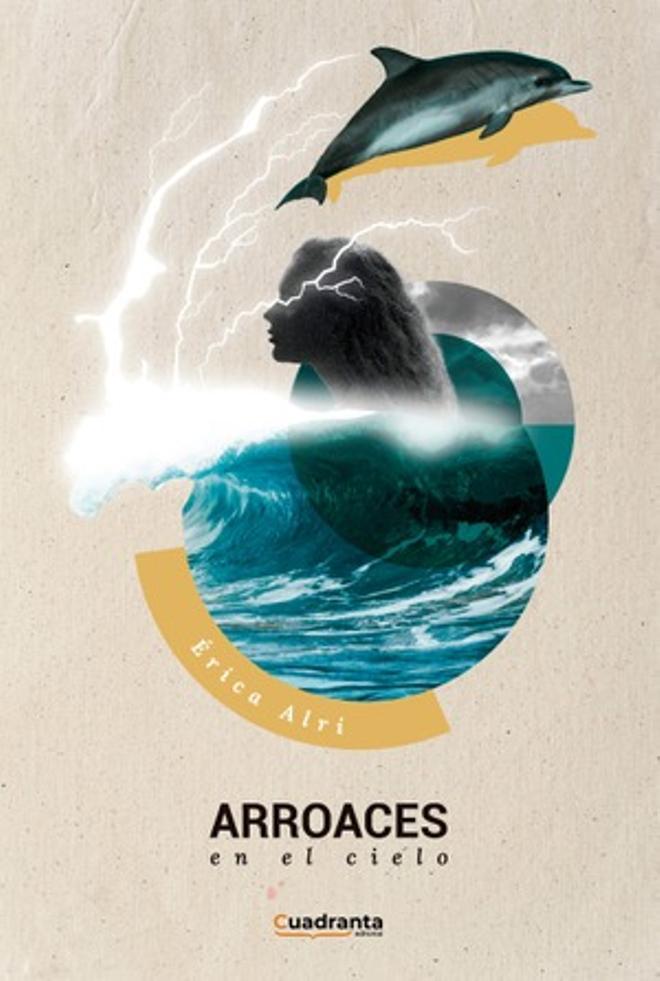 Portada del libro "Arroaces en el cielo".