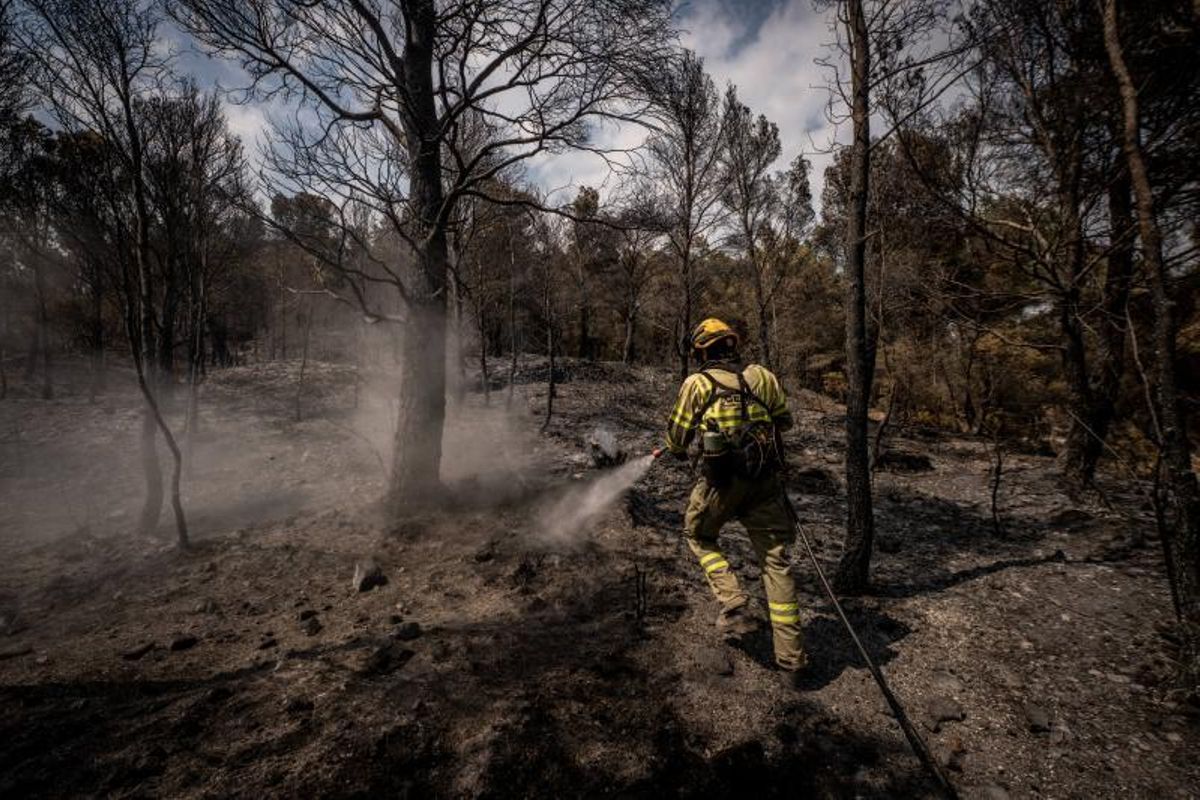 Incendio de Paüls (Baix Ebre), que calcinó más de 3.300 hectáreas este pasado julio. Incendio de Paüls (Baix Ebre), que calcinó más de 3.300 hectáreas este pasado julio.