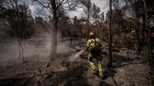 Incendio de Paüls (Baix Ebre), que calcinó más de 3.300 hectáreas este pasado julio. Incendio de Paüls (Baix Ebre), que calcinó más de 3.300 hectáreas este pasado julio.