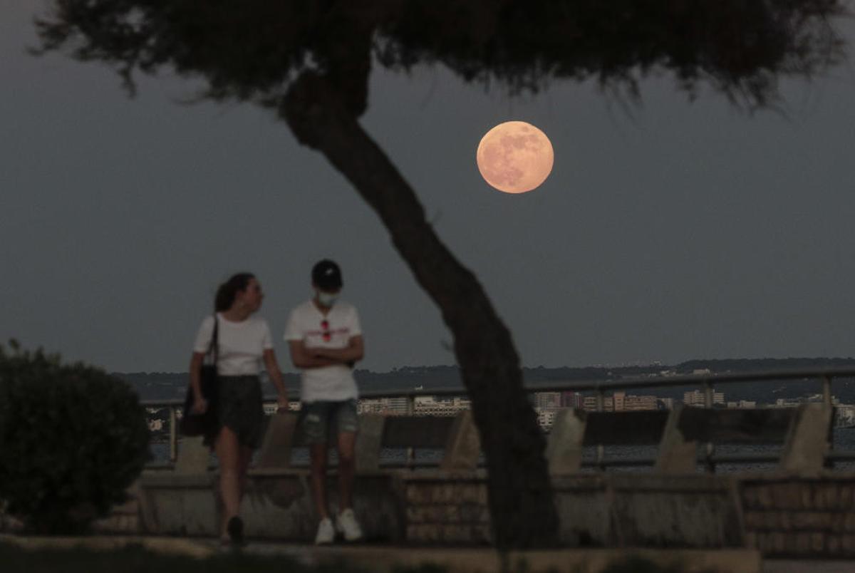 Der Erdbeermond verzückt Mallorca