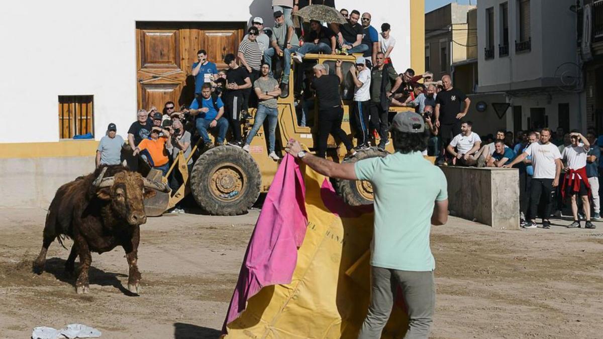 La concesión del premio la han dado a conocer días antes de que empiece la temporada taurina con las fiestas patronales de Sant Vicent.