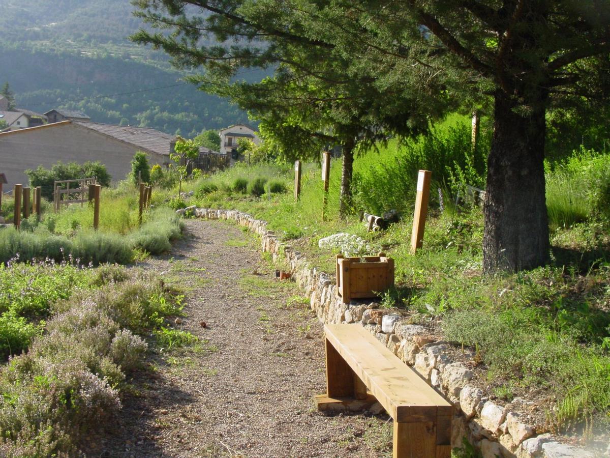 Un itinerari al Jardí Botànic de les trementinàires