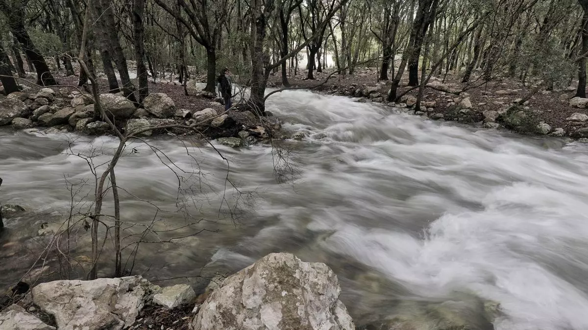 Temporal en Mallorca: Ses Fonts Ufanes brotan tras las lluvias de la borrasca 'Isaack'