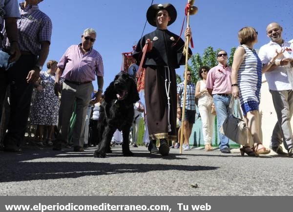 GALERÍA DE FOTOS - Fiesta en Sant Roc de la Donació en Castellón