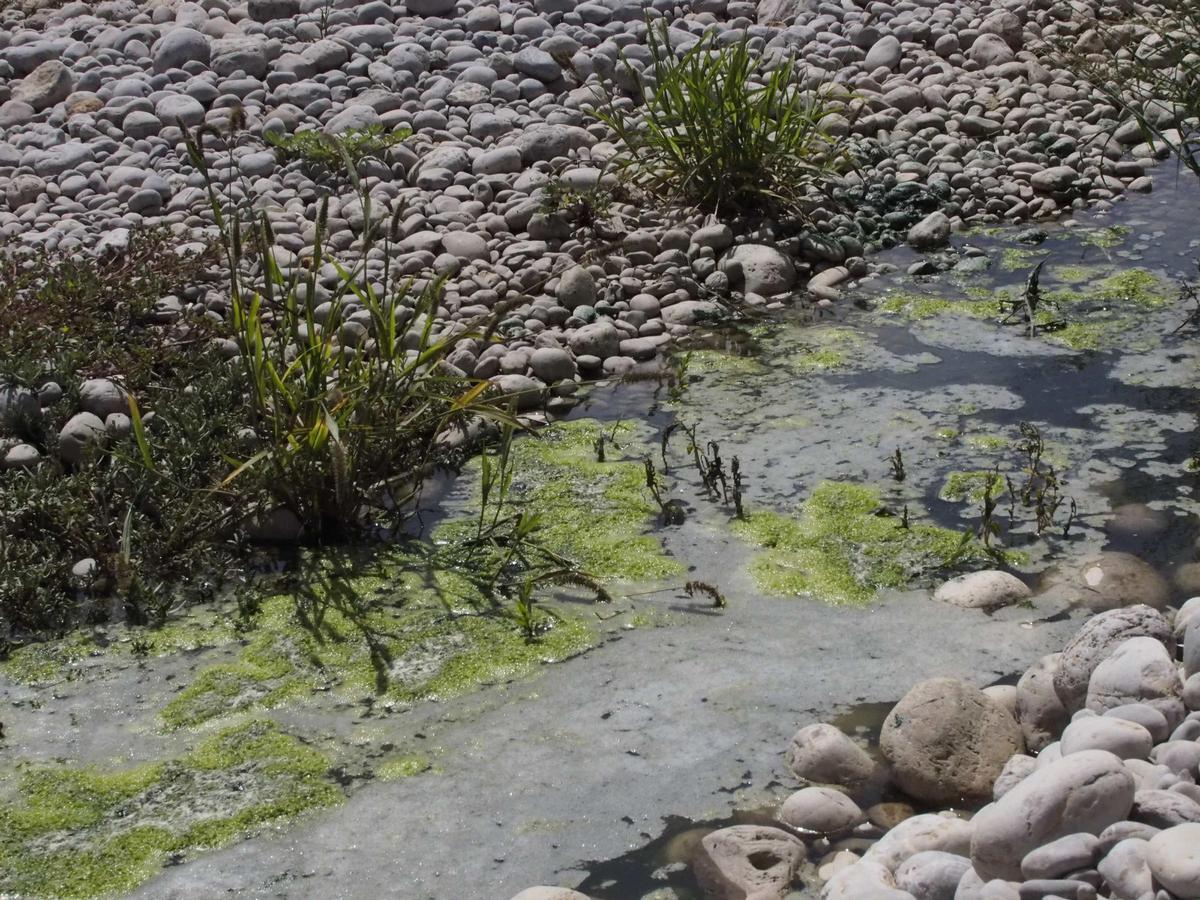 Los ecologistas denuncian el mal uso de la depuradora por parte de Aena