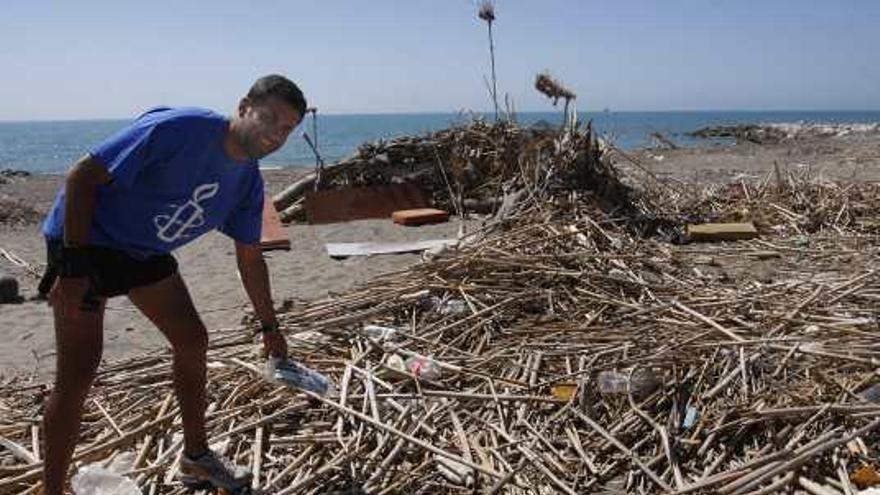 La misma playa en el verano de 2013, con basura entre las cañas y una curiosa construcción.