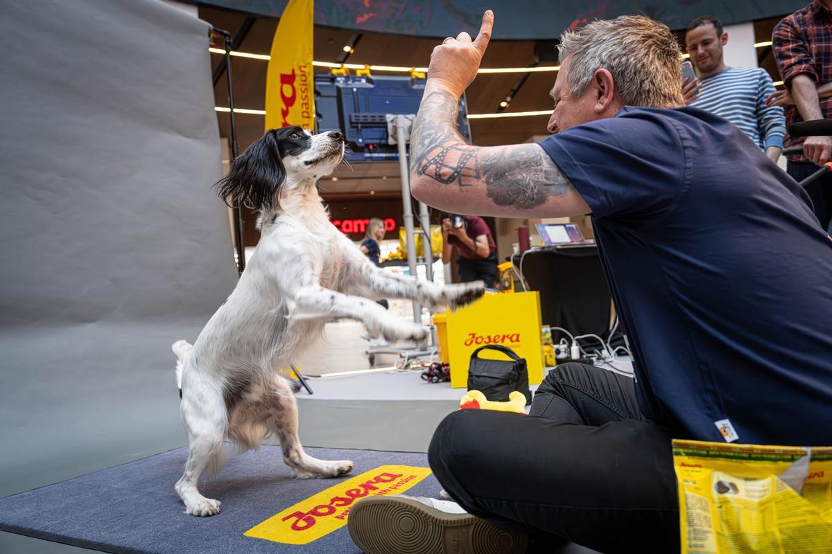 Barcelona, 16/04/2026 OnBarcelona. El fotógrafo de perros más viral del mundo: Christian Vieler estará en Barcelona del 16 al 18 de abril. AUTOR: MANU MITRU