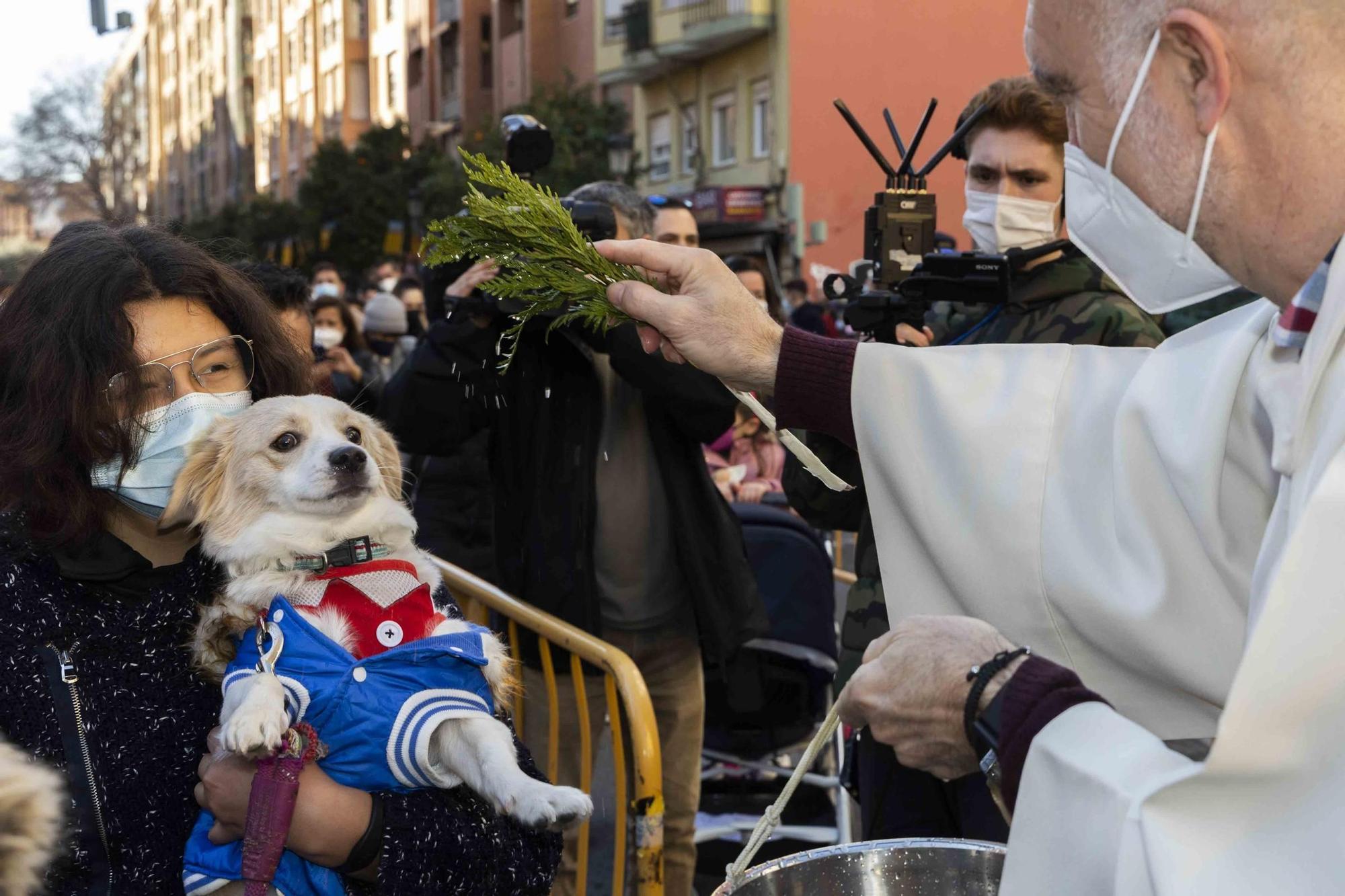 Búscate en la bendición de animales de Sant Antoni