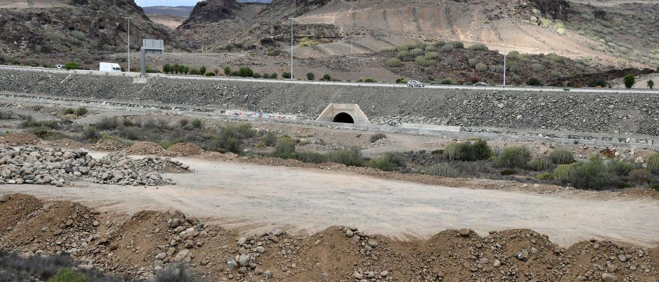 Zona del barranco de El Veril donde la empresa Loro Parque quiere construir un parque acuático. | | YAIZA SOCORRO