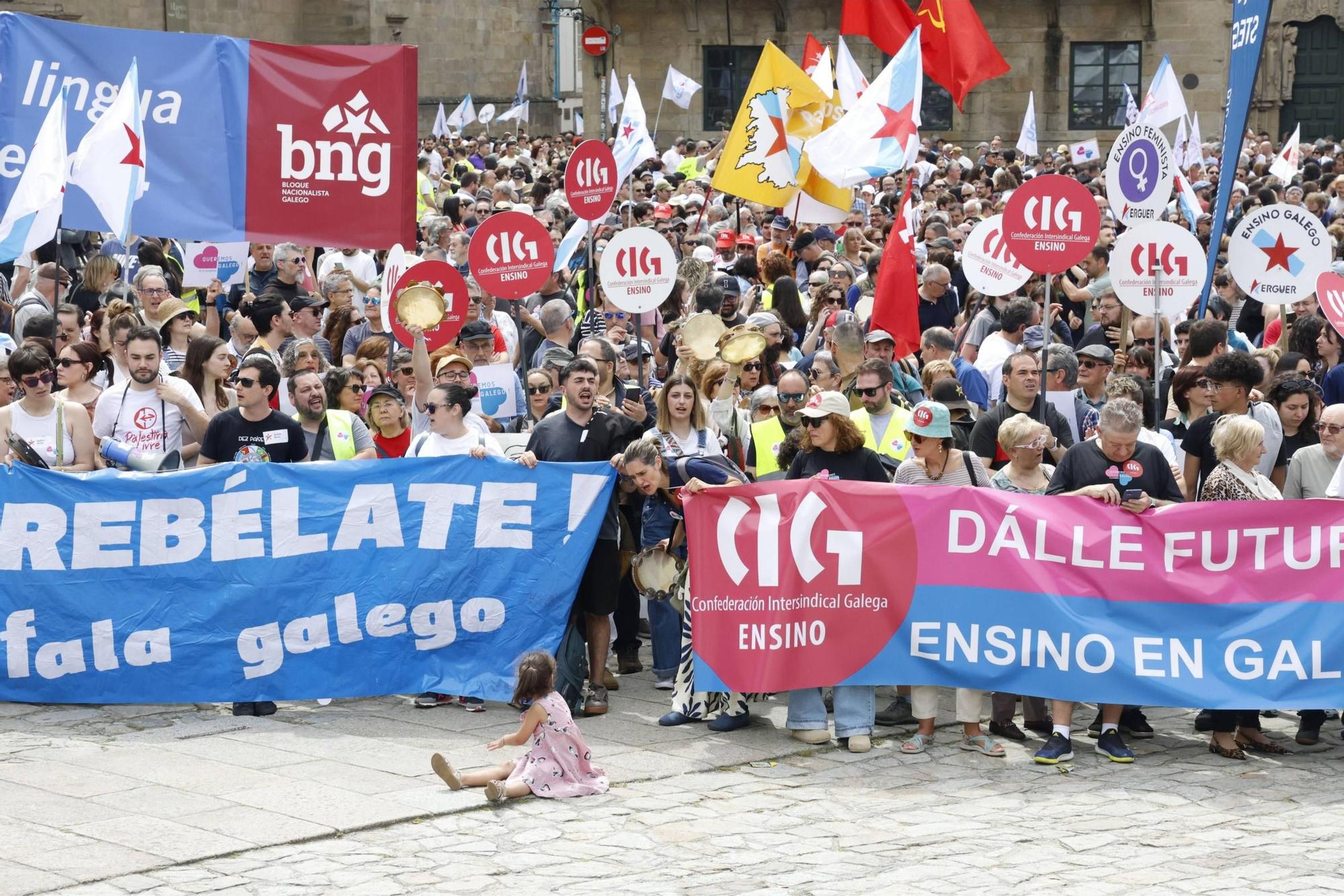 Miles de persoas toman as rúas de Santiago en defensa do galego