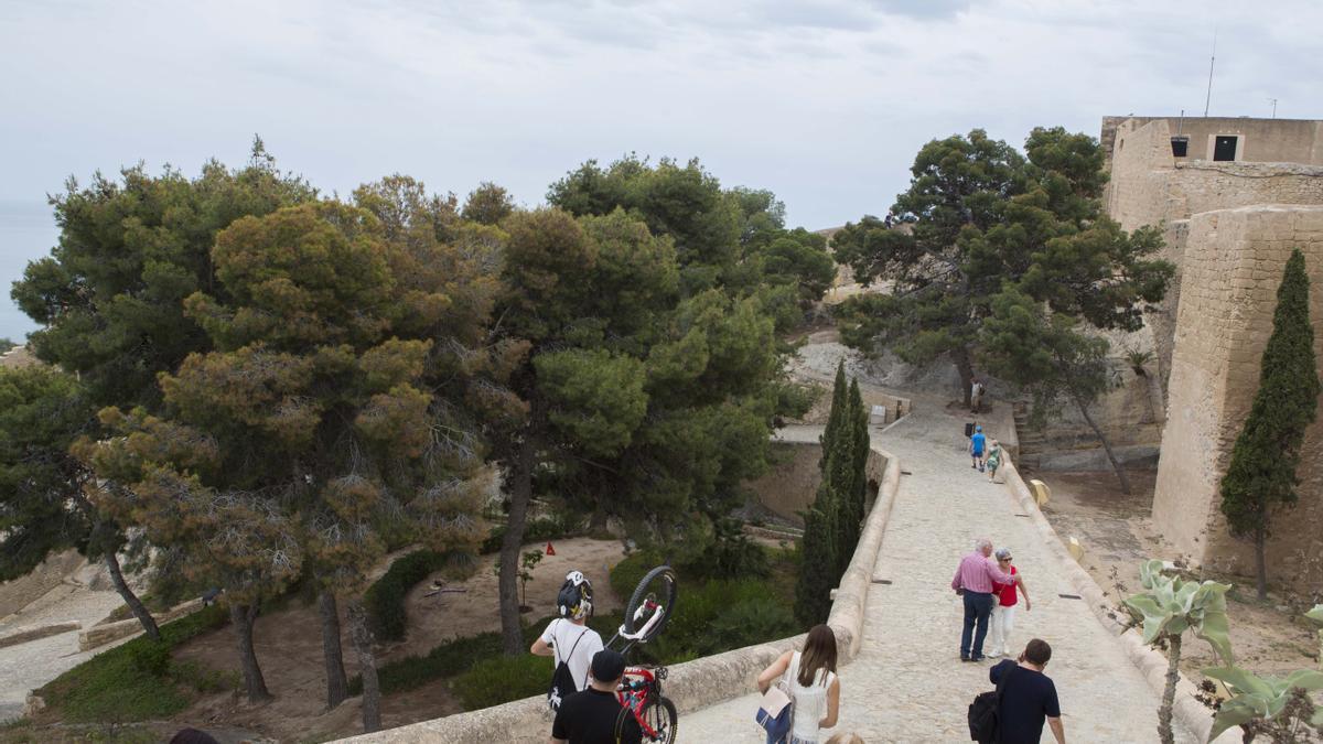 Las mejores rutas de senderismo de la provincia de Alicante
