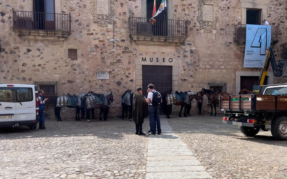 Fotogalería | Así está siendo el rodaje de 'La casa del dragón' en Cáceres Fotogalería | Así está siendo el rodaje de 'La casa del dragón' en Cáceres
