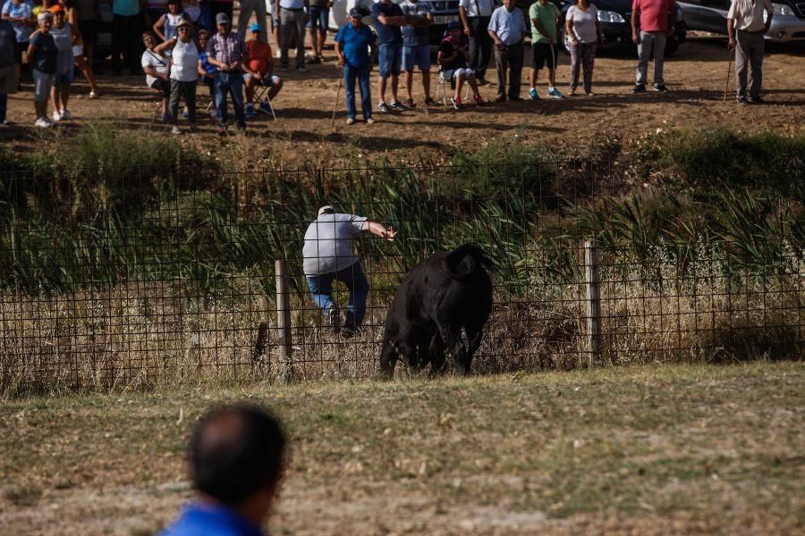 Espantes en Fuentelapeña