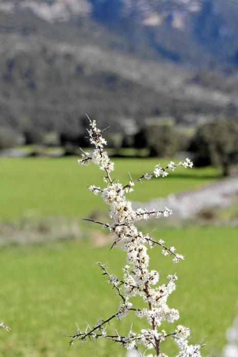 Die Quelle Es Salt des Freu bei Orient:  Es ist, als wenn das Wasser alles aufsaugt und mit sich reißt. Man möchte ihm folgen und verweilt doch immer wieder, um Fels, Steine, Verästelungen zu betracht