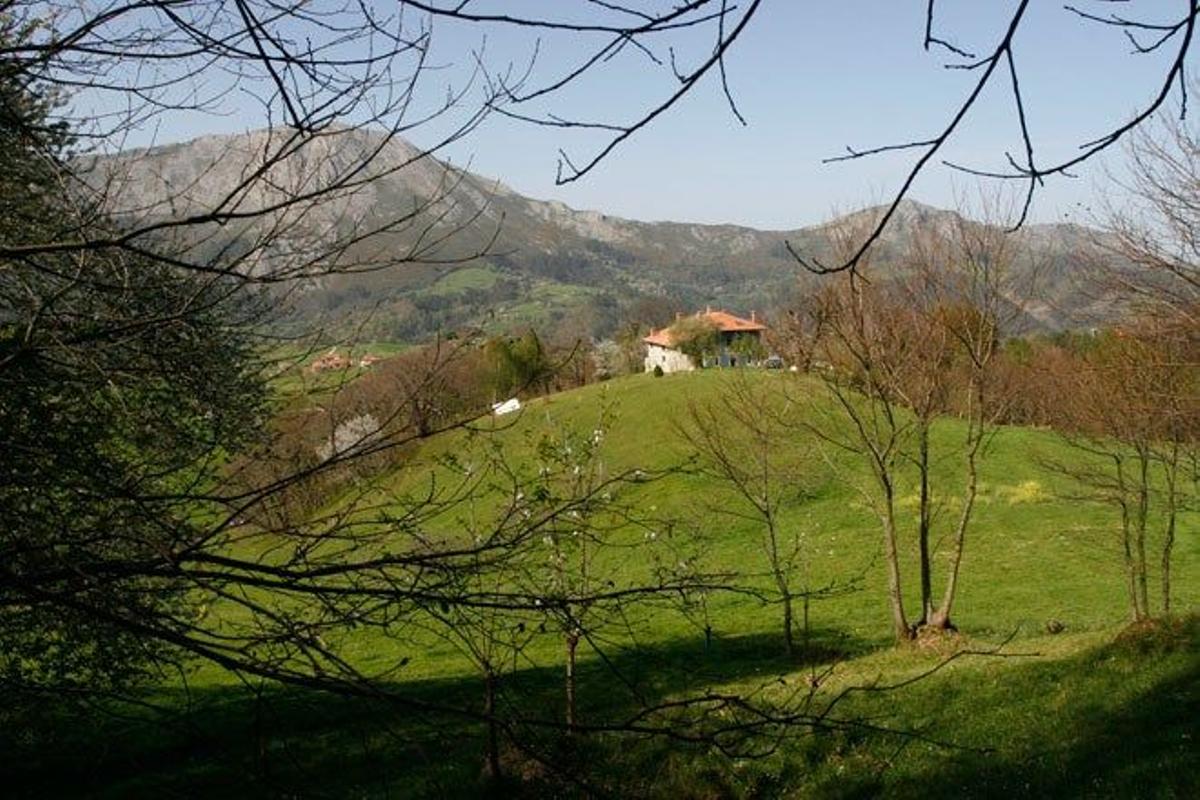 Valle de Ardisana.