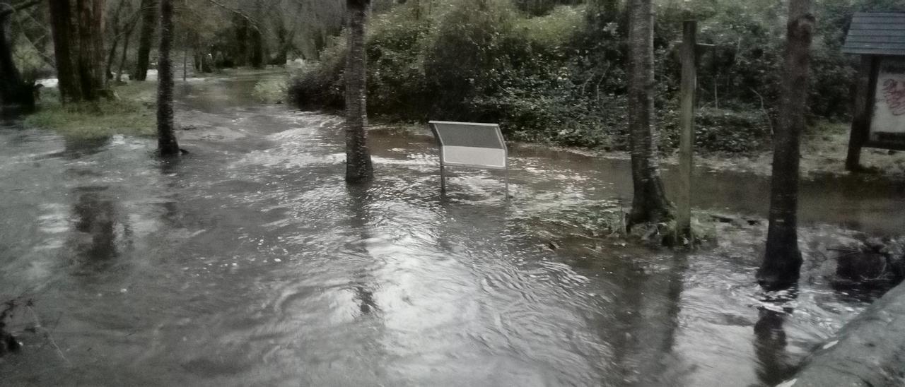 Río de Os Gafos desbordado en Tomeza en la mañana de este domingo