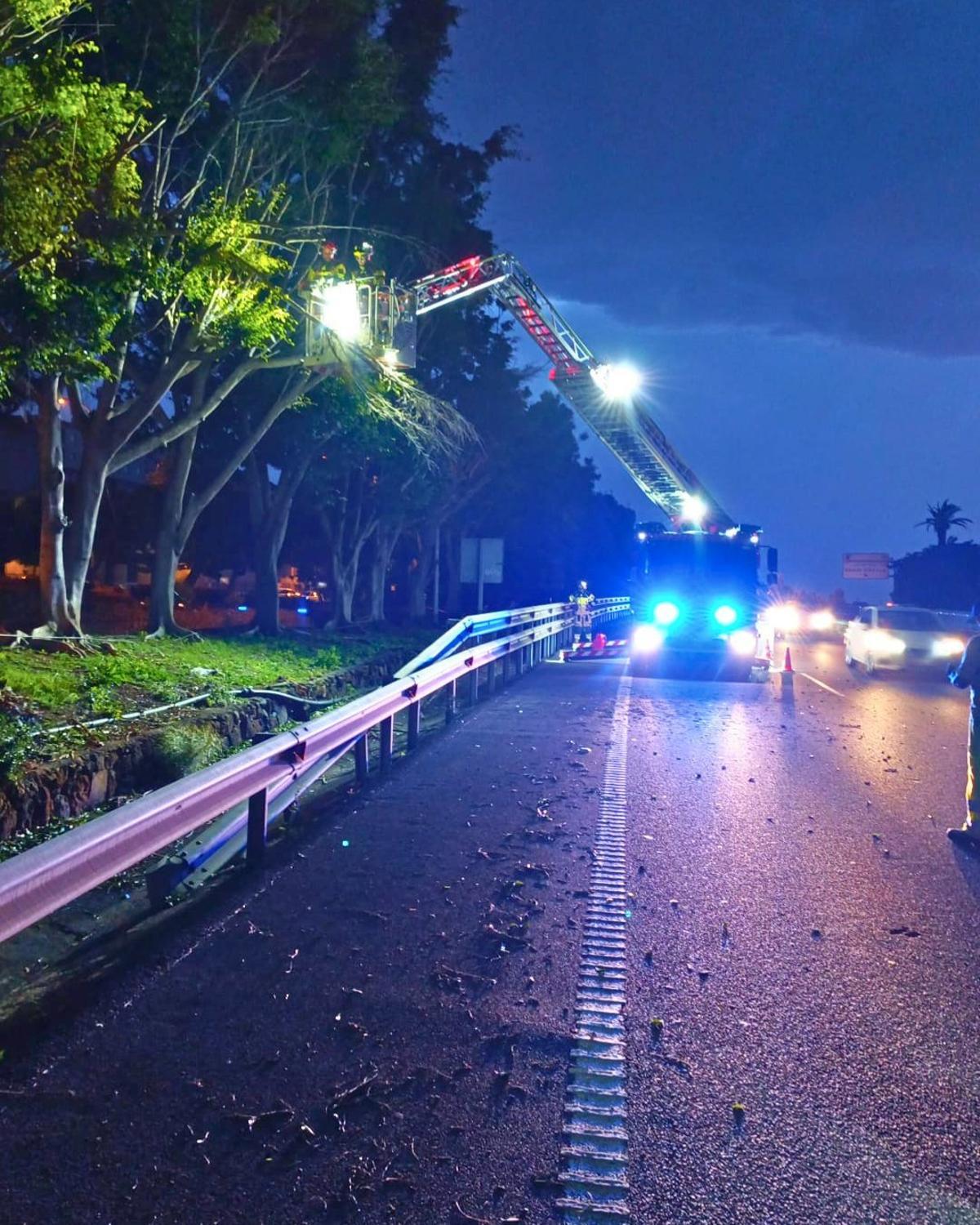 Caída de ramas y otros objetos este fin de semana en Tenerife a causa del viento