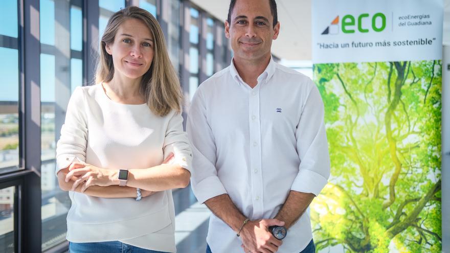 Tomates extremeños bajo paneles solares