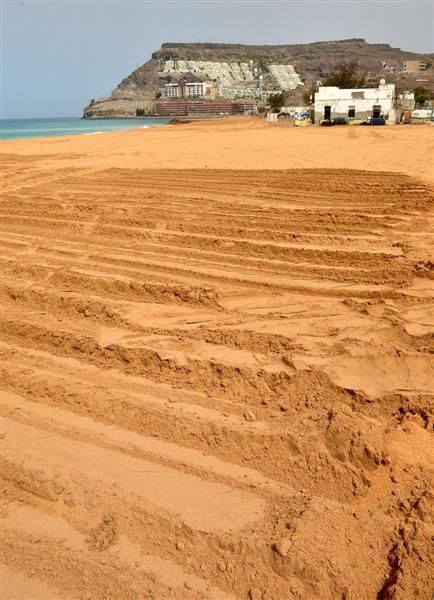 Visita de la Feht a la nueva Playa de Anfi Tauro