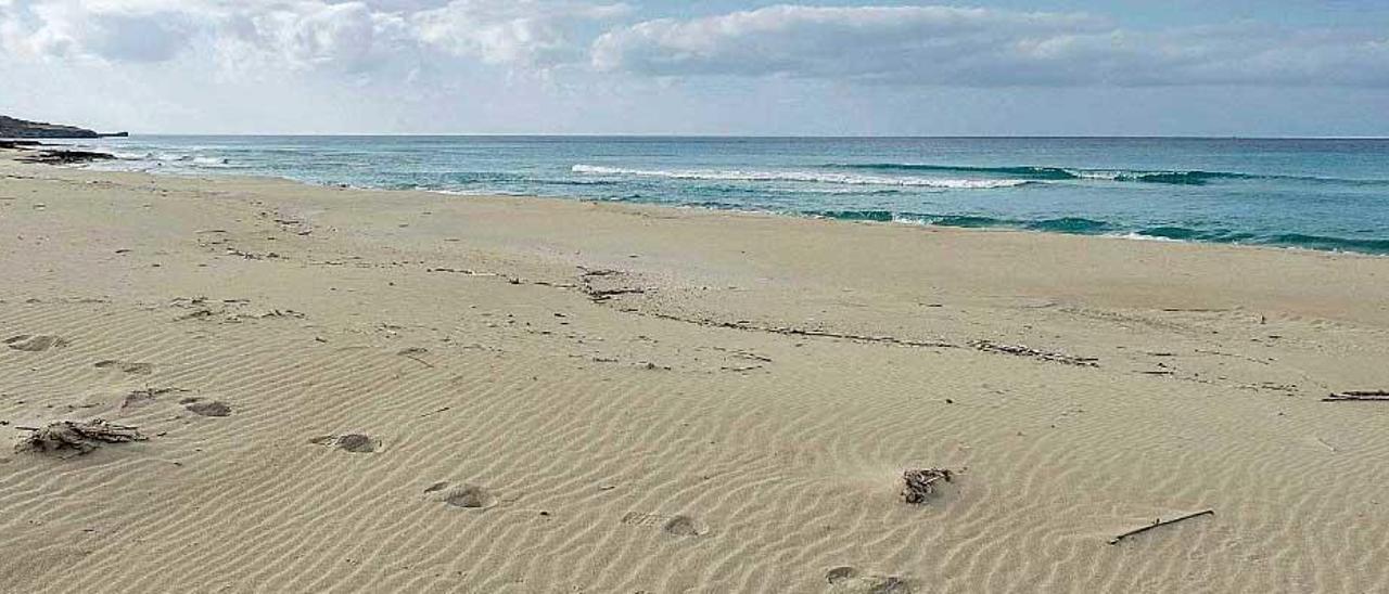 Imagen de una playa vacía.