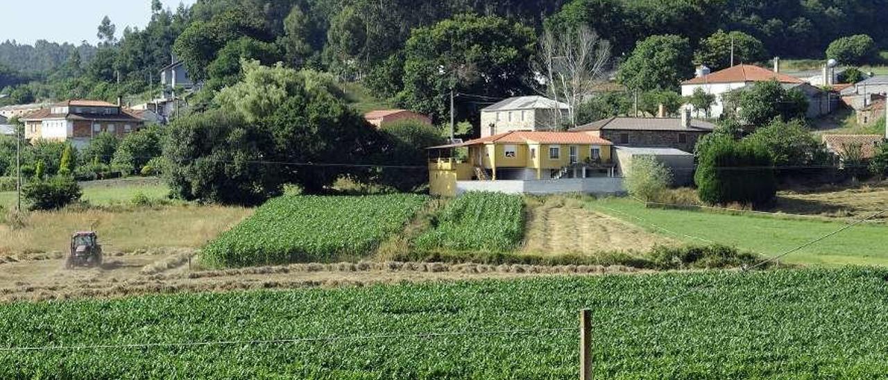 Vista de fincas y viviendas de una aldea de Lalín. // Bernabé/Javier Lalín