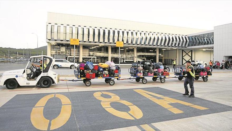 El aeropuerto intensificará batidas para combatir la plaga de conejos