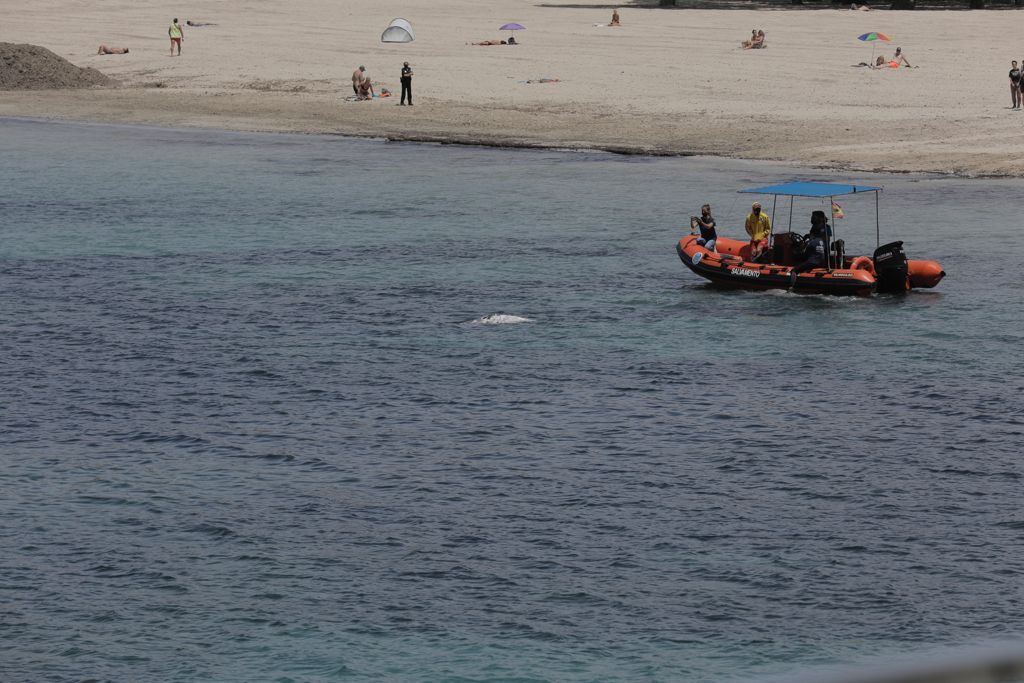 Decenas de personas acuden a Santa Ponça para ver a  Wally