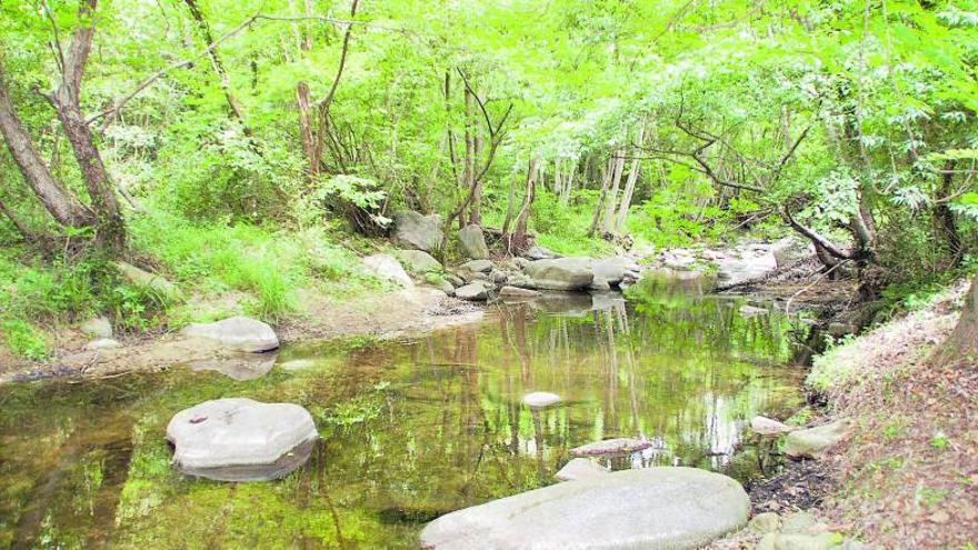 La riera de Maçanet de Cabrenys, un element natural per poder gaudir en silenci