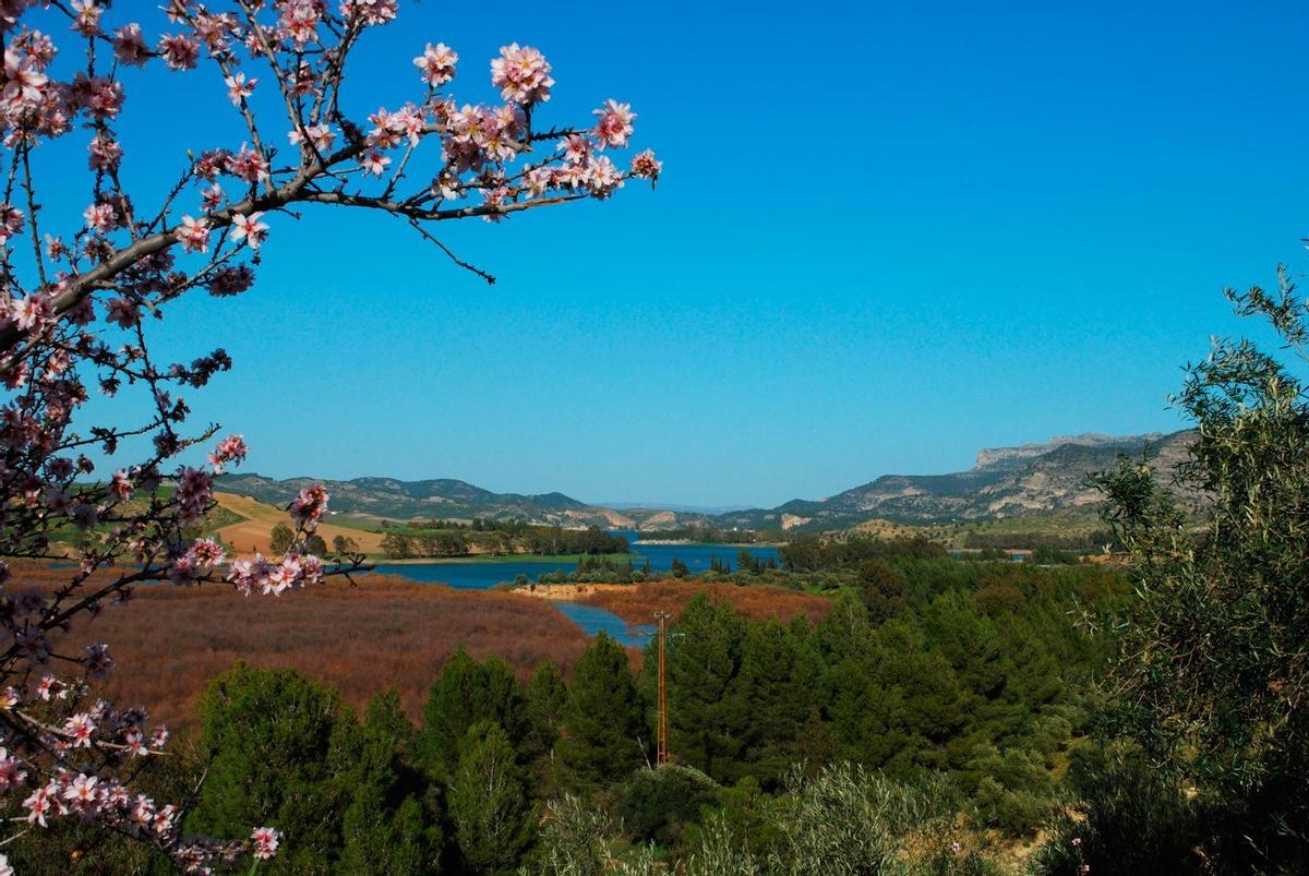 Valle del Turón, Málaga